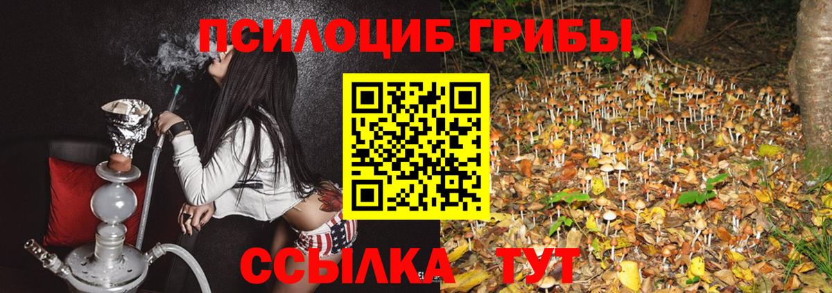Галлюциногенные грибы Magic Shrooms  Псилоцибиновые грибы Psilocybine cubensis  Вход с VPN  Шелехов 